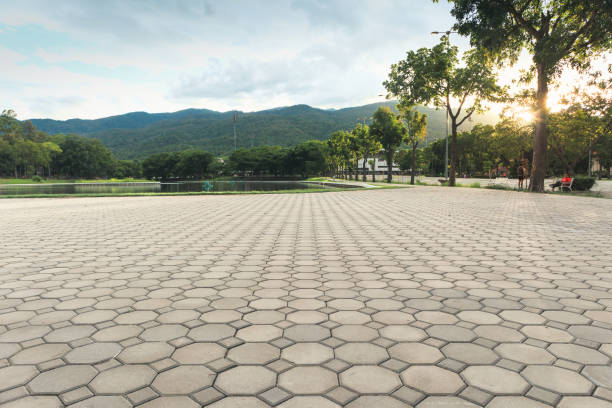 Best Driveway Repair Near Me  in Wells Branch, TX
